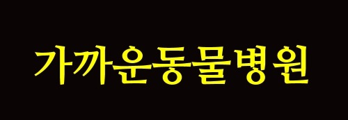 가까운동물병원